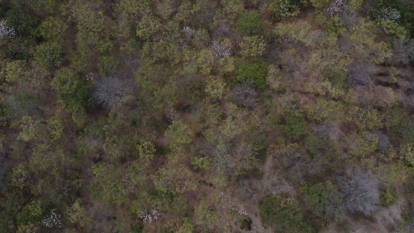 Environmental Monitoring & Assessment